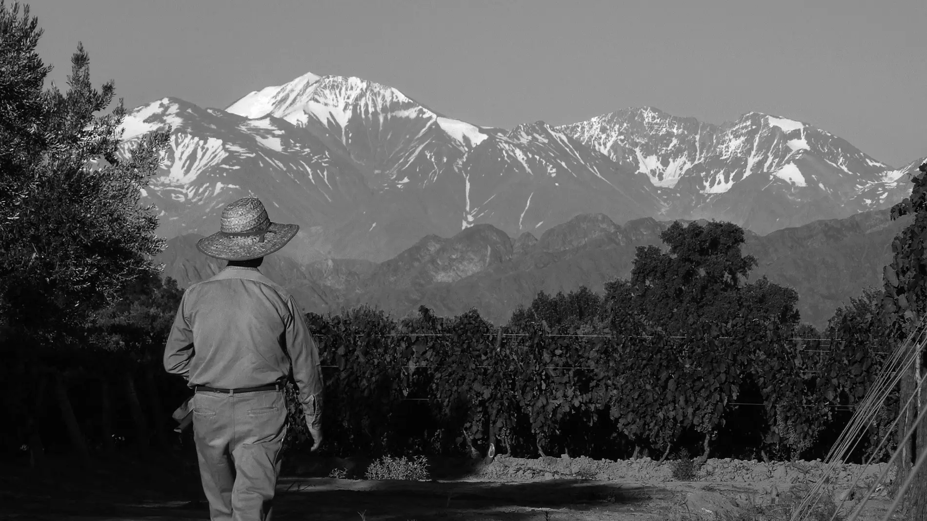 pasadopresente-hero-lagarde-1