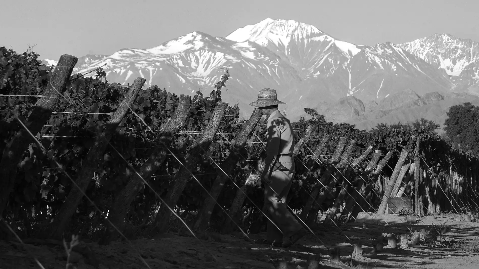 pasadopresente-hero-lagarde-2