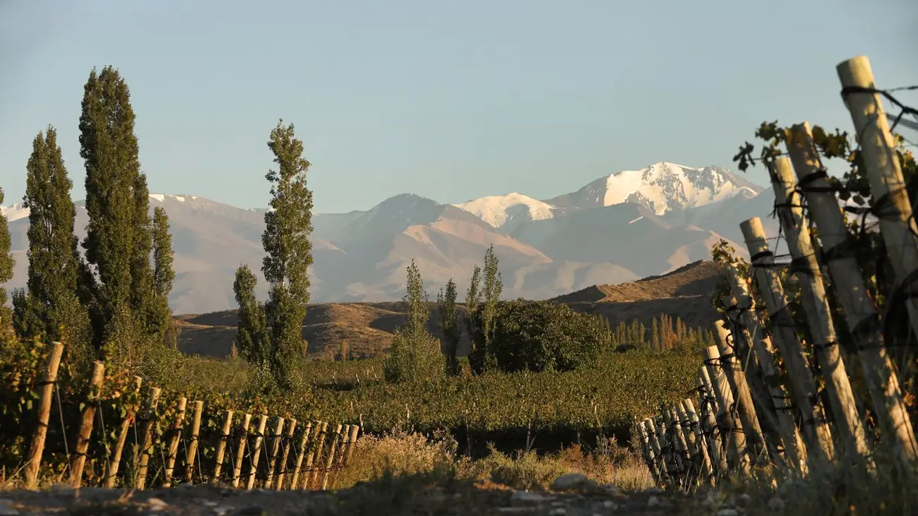 aguasverdes-2-e1745295448543.jpg